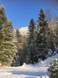 Cette ann&eacute;e, la direction avait choisi une r&eacute;gion d&eacute;favoris&eacute;e en termes de paysages pour organiser l'AG et tenter de promouvoir l'activit&eacute; touristique de l'endroit...