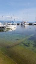 Lac l&eacute;man 