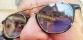 Mais bof...Et tout &agrave; coup, j'ai trouv&eacute; ce que j'allais photographier : des lunettes de soleil !