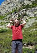 Le grand loup cornu a surgit d'on ne sait o&ugrave; !