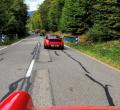 Dans les vosges, y a des sapins