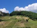 Vous faites du vin dans le Jura ? 