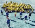 Les canaris