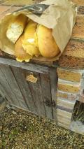 Baguettines camembert. C'est une premi&egrave;re ! 