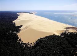 Sortie sur les alentours de biscarrosse