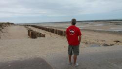 Les doudi's days débarquent en Normandie