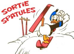 Sortie Spatules